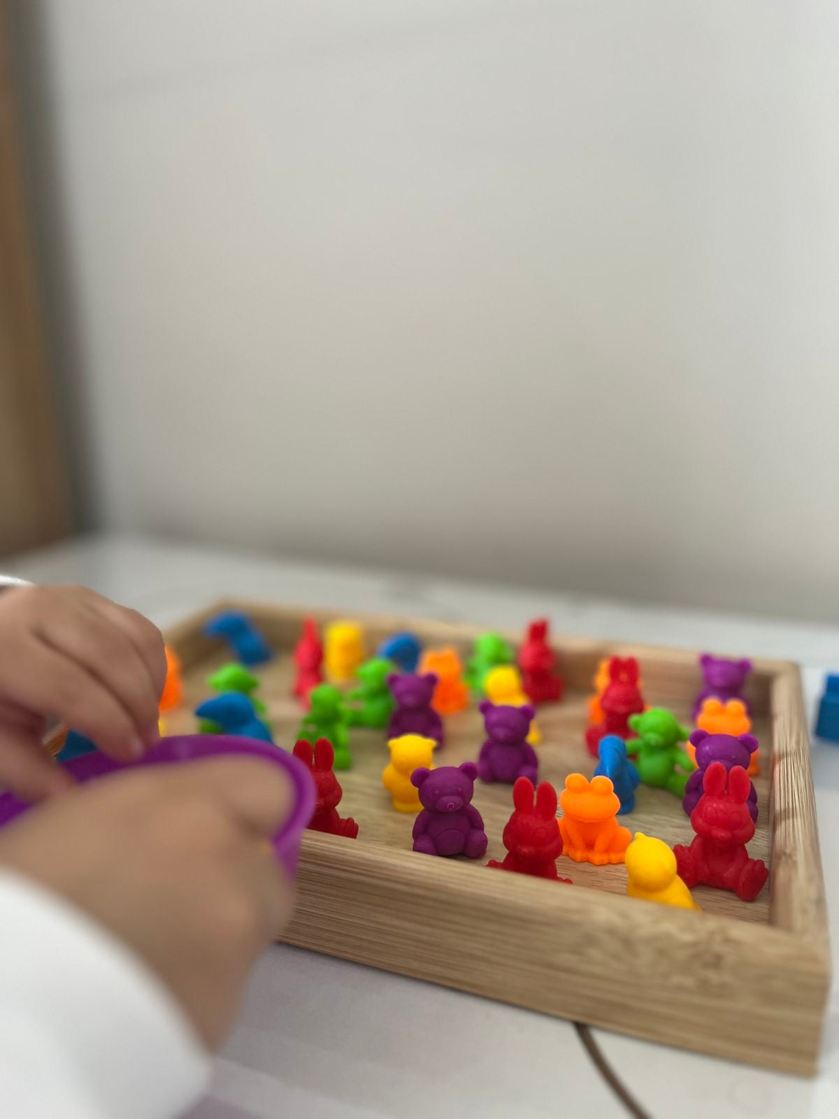 Juego de Clasificación de Colores y Animales | Kit Didáctico Montessori Montessorikidschile
