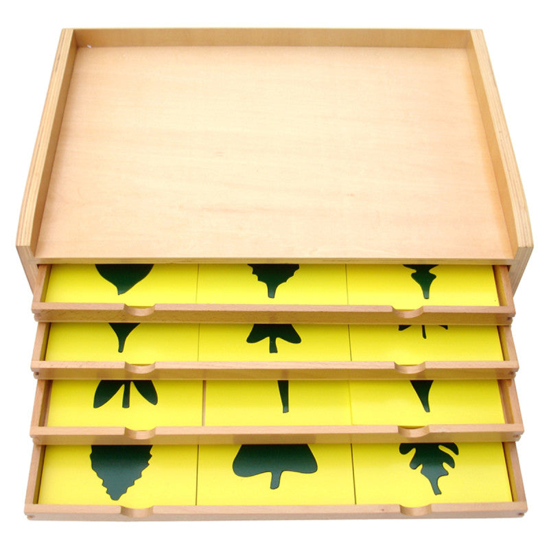 Gabinete Botánico Montessori de Madera – 24 hojas con botón de agarre - Montessorikidschile