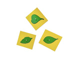 Gabinete Botánico Montessori de Madera – 24 hojas con botón de agarre - Montessorikidschile