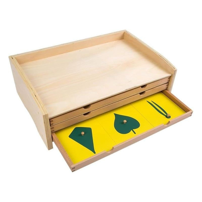 Gabinete Botánico Montessori de Madera – 24 hojas con botón de agarre - Montessorikidschile
