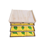Gabinete Botánico Montessori de Madera – 24 hojas con botón de agarre - Montessorikidschile