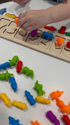 Juego de Clasificación de Colores y Animales | Kit Didáctico Montessori Montessorikidschile