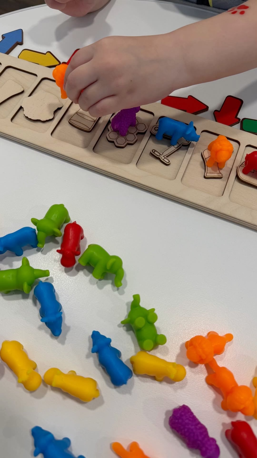 Juego de Clasificación de Colores y Animales | Kit Didáctico Montessori Montessorikidschile