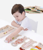 Puzzle cuerpo humano por capas - Montessorikidschile